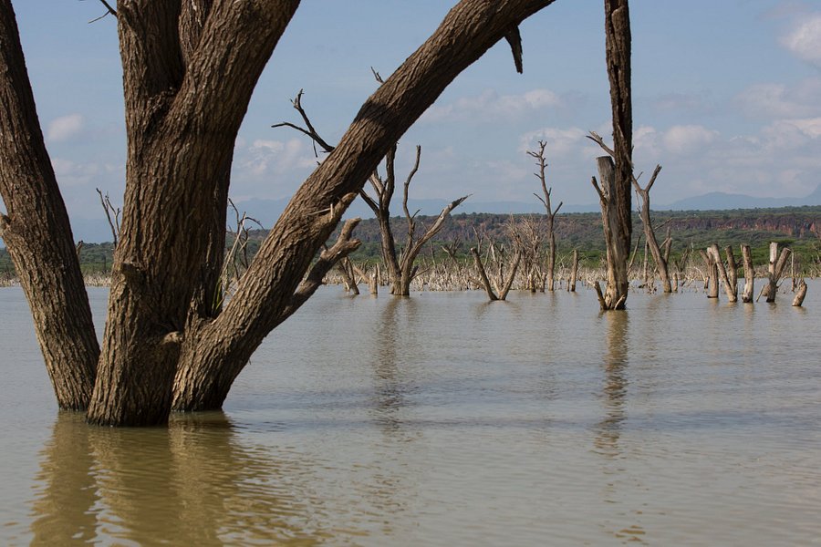 Lake Baringo image
