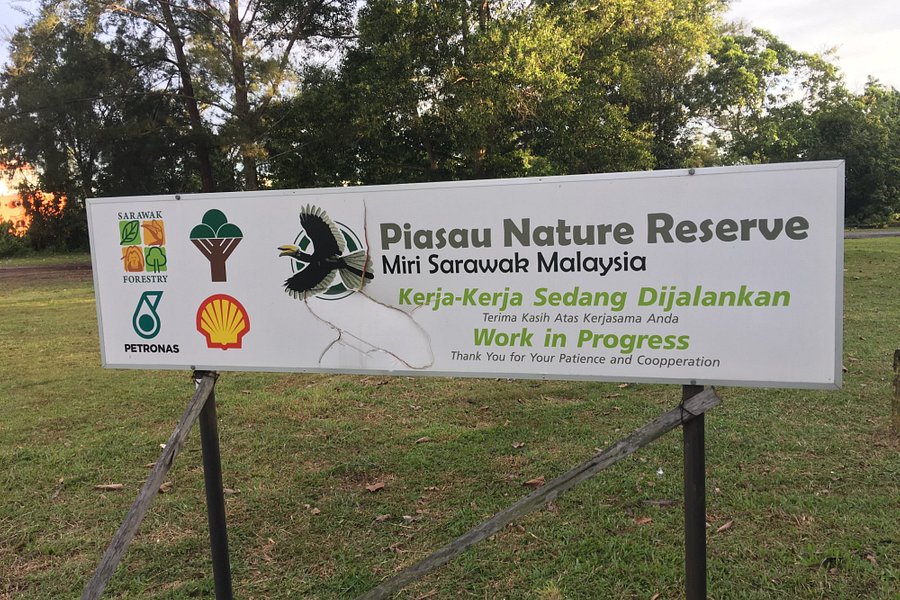 Piasau Nature Reserve image