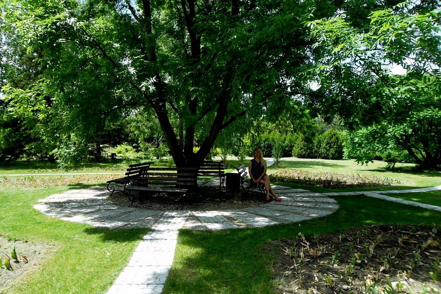 Kryvyy Rih Botanical Garden image