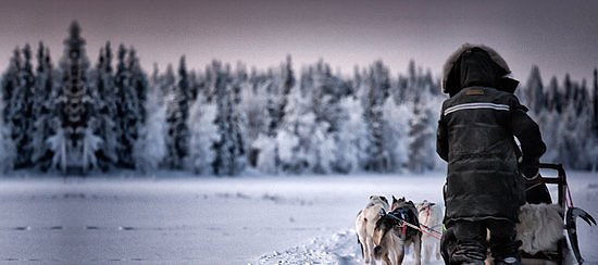 Arctic Circle Adventure image