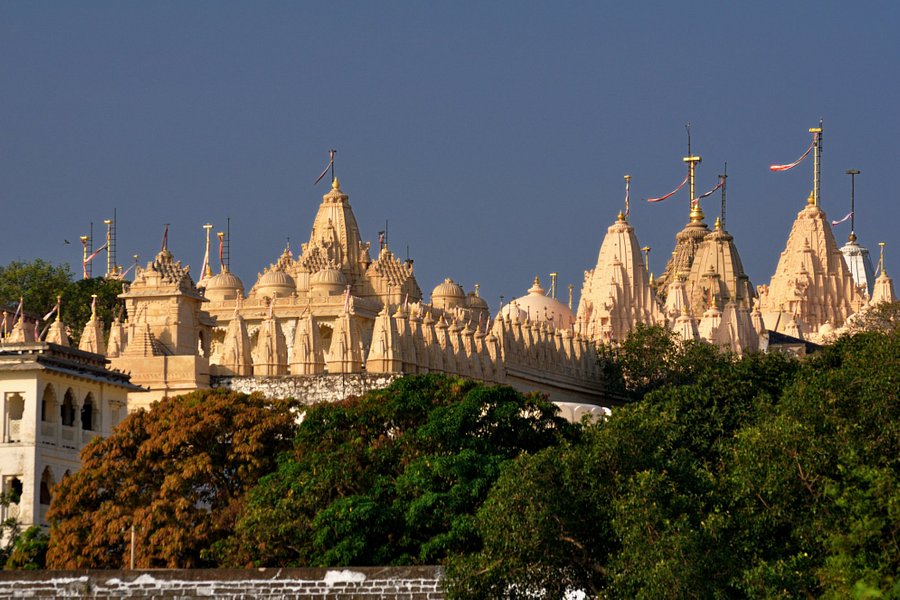Shatrunjaya hill temple image