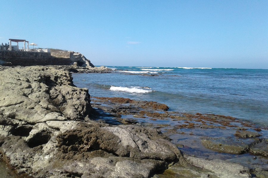 Playa de Punta Blanca image