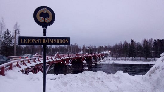 Lejonströmsbron image