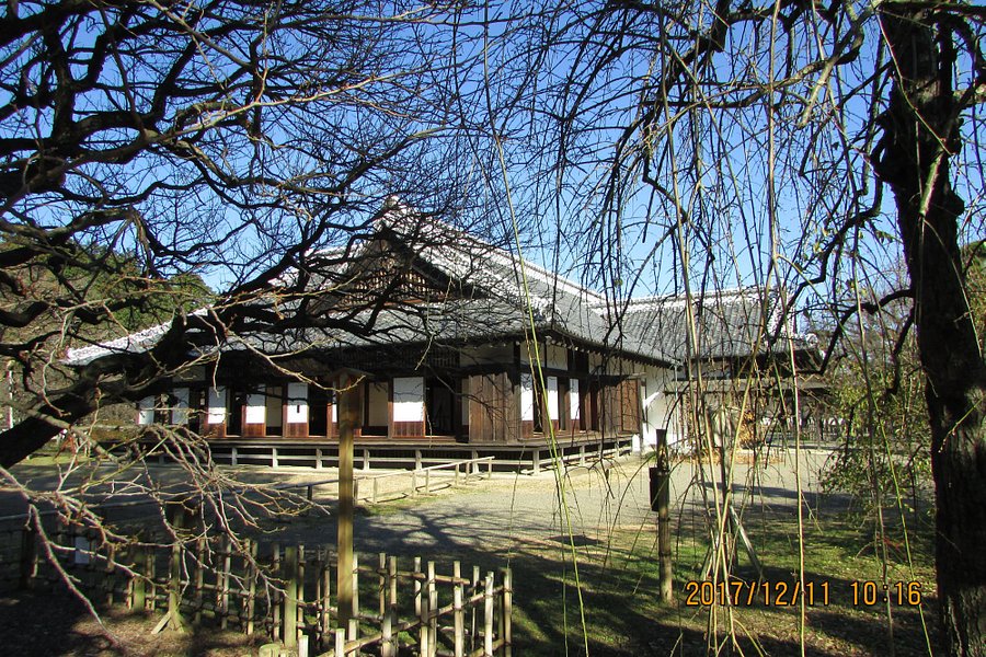 Kodokan Park image