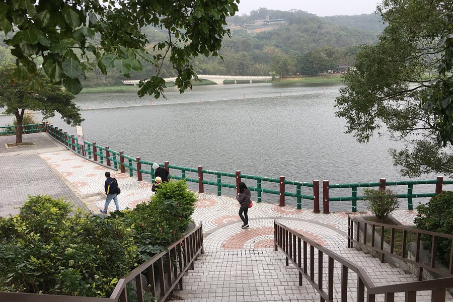 Qing Cao Lake image