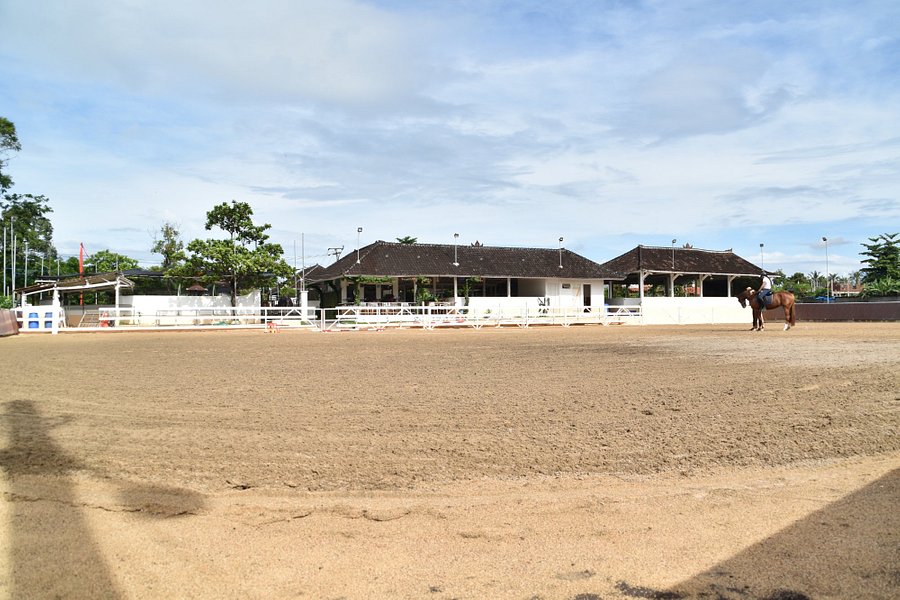 Royal Sporthorse Bali image