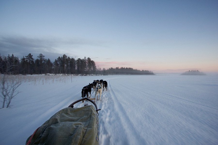 Wild Lapland image
