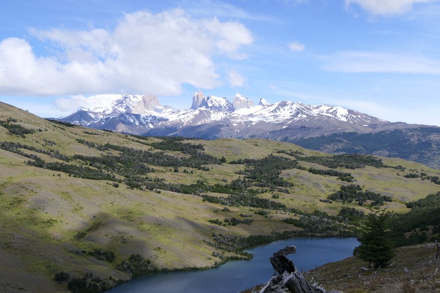 Patagonia Bagual image