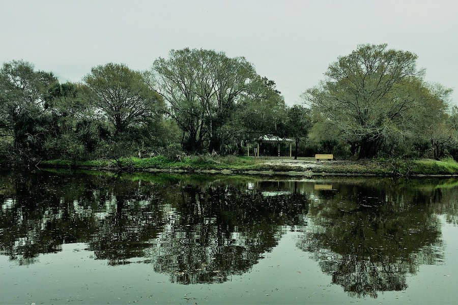 Venice Myakka River Park image