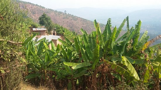 Mt. Kigali image