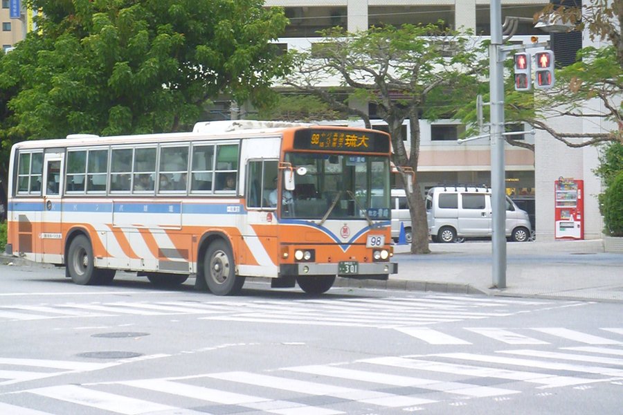Ryukyu Bus Kotsu image