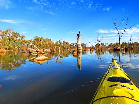 Murray River Adventures image