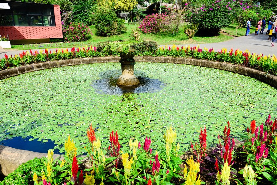 Royal Botanical Gardens image