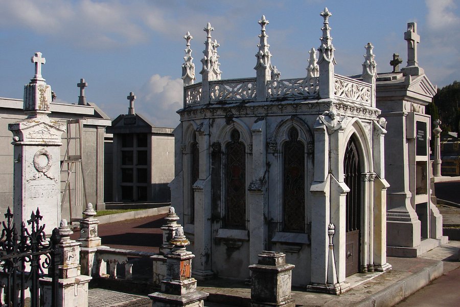 Cementerio de Ballena image