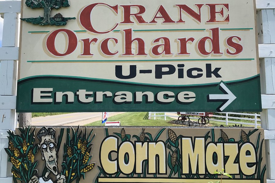 Crane Orchards Upick and Corn Maze image