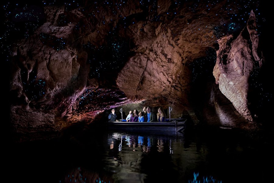 Te Anau Glowworm Caves image