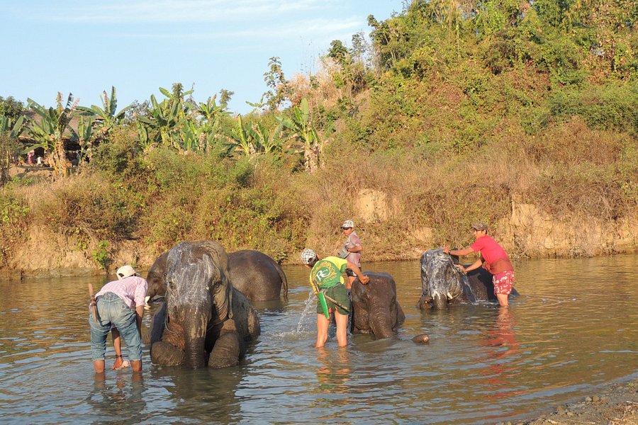 Winga Baw Elephant Camp image