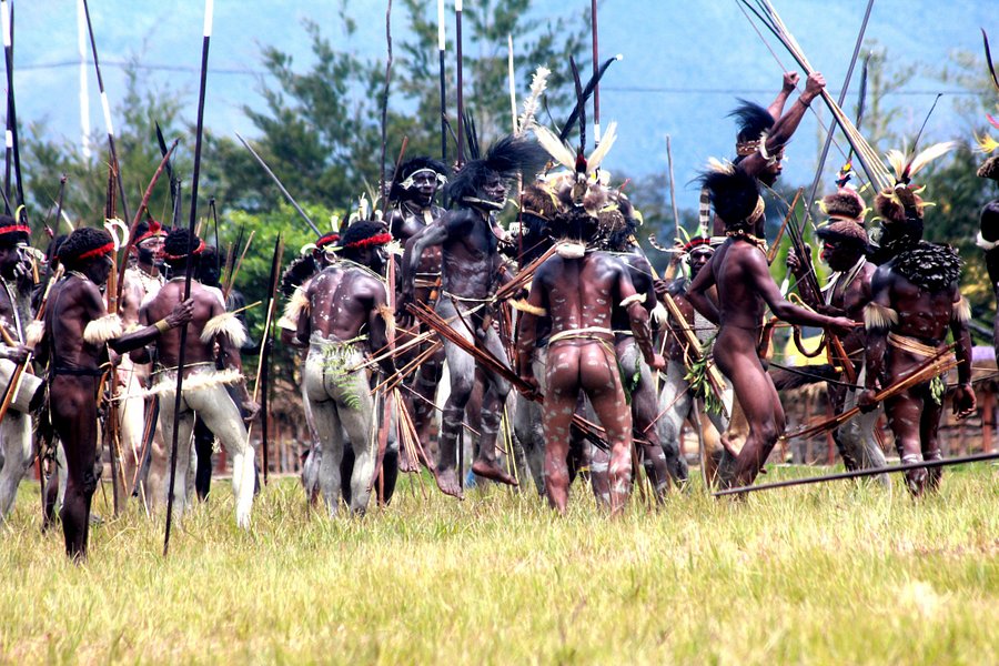 Jefalgi Papua Tours image