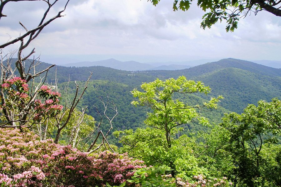 Pisgah National Forest image