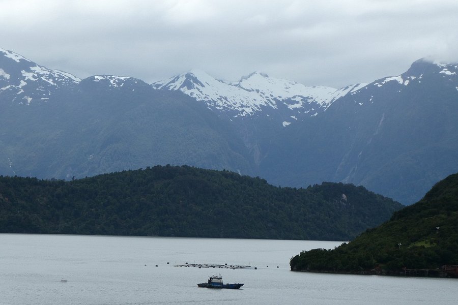 Patagonia National Park image