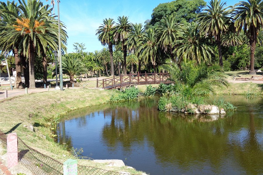 Parque Rodo image