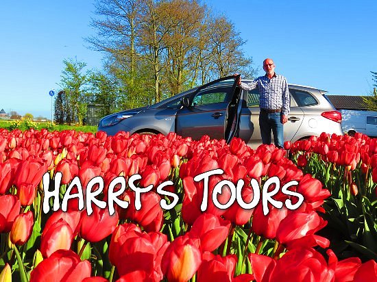 Harry's Tours Holland image