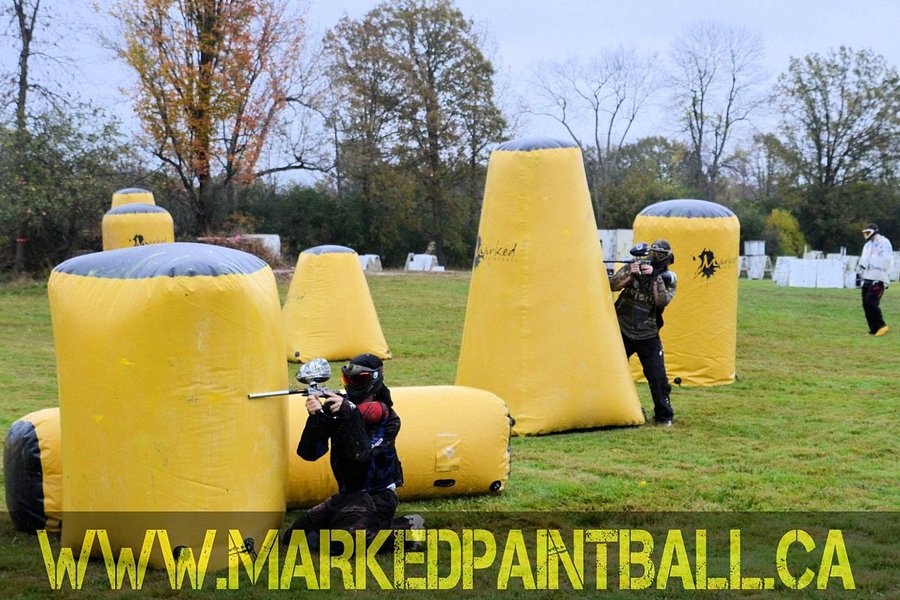 MARKED: Ultimate Family Adventure Park image