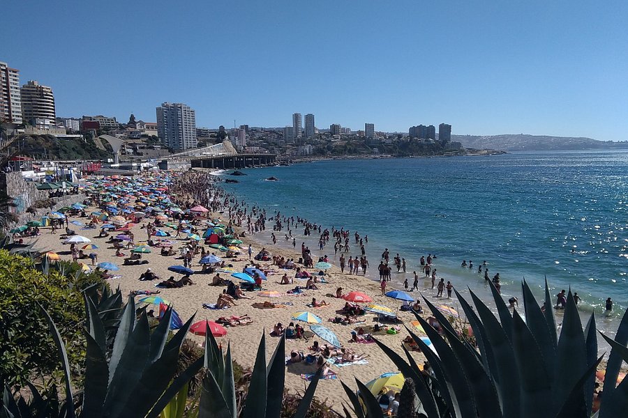 Playa Caleta Abarca image