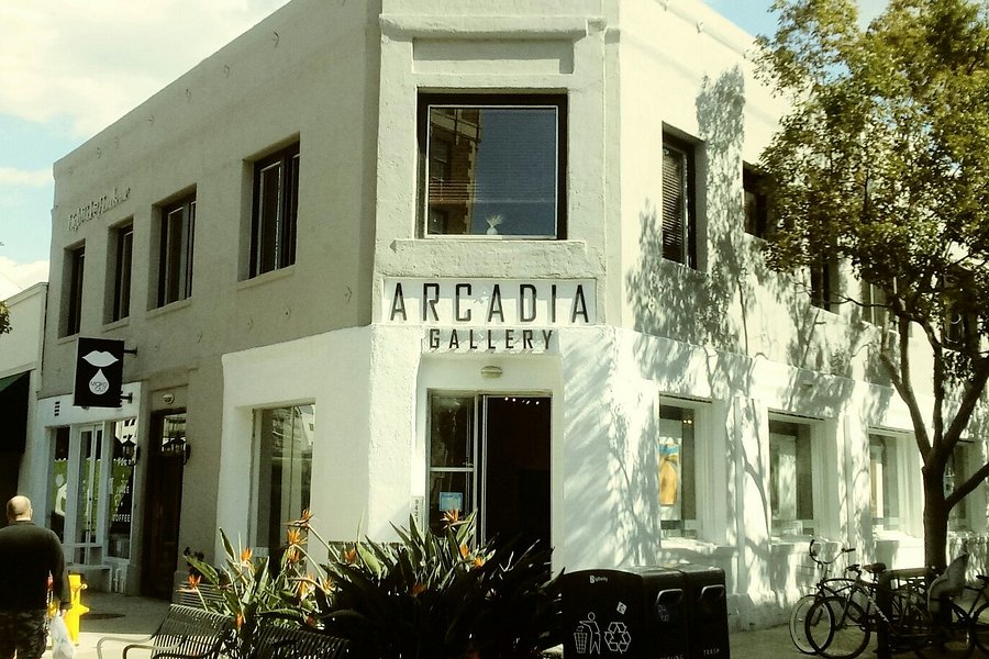 Arcadia Contemporary image