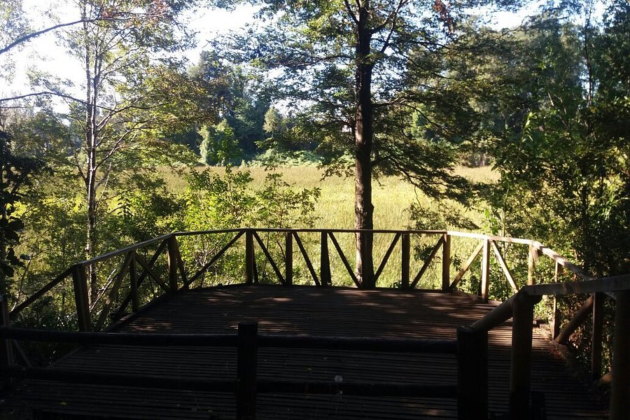 Parque Urbano El Bosque image