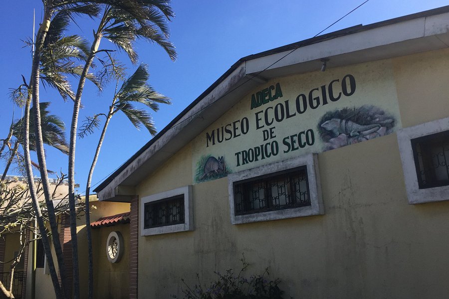 Museo Ecologico del Tropico Seco image