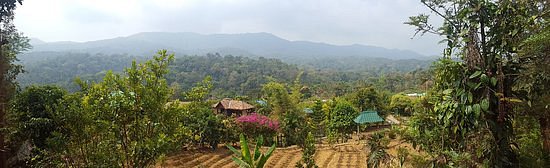 Things To Do in Jungles Castle Home Stay Wayanad, Restaurants in Jungles Castle Home Stay Wayanad