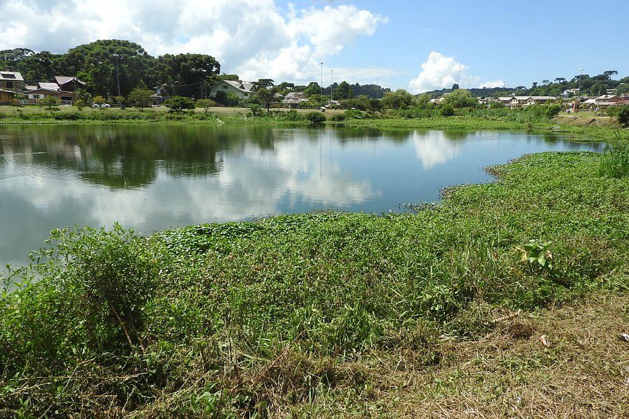 Parque do Lago image