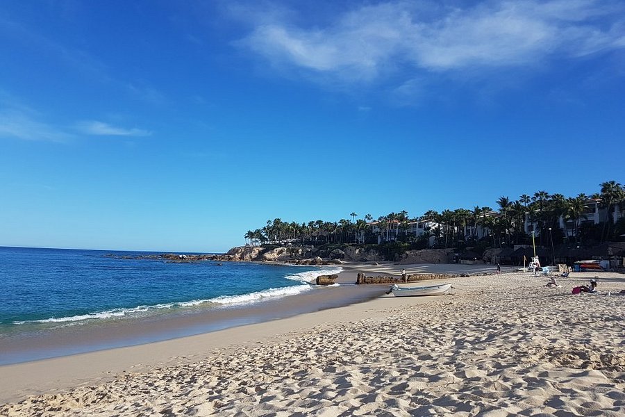 Playa Palmilla (Palmilla Beach) image