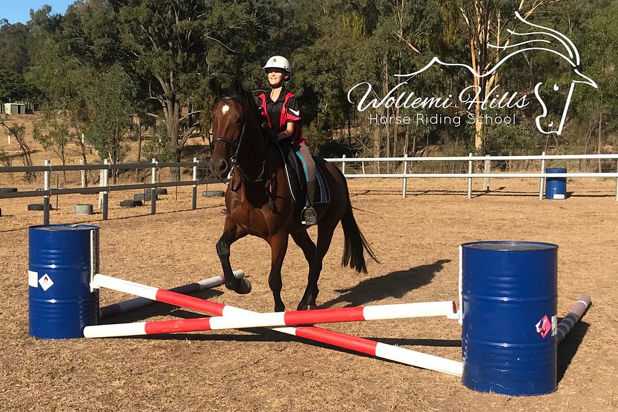 Wollemi Hills Horse Riding School image