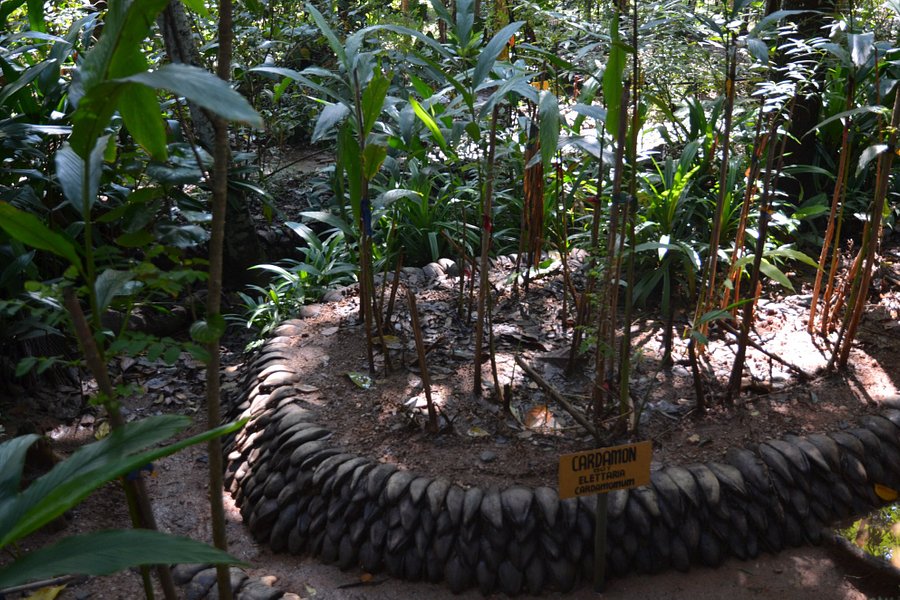 New Ranweli Spice Garden image