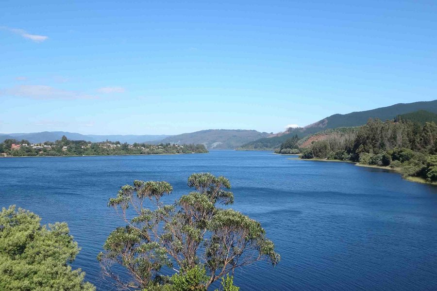 Lago Lanalhue image