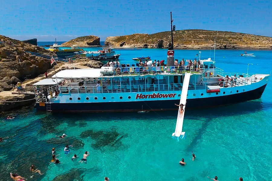 Hornblower Cruises image