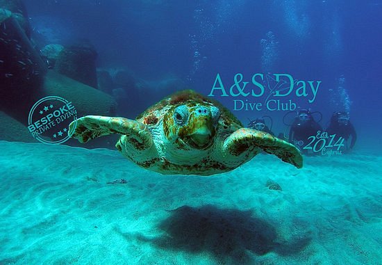 A & S Day Dive Club image