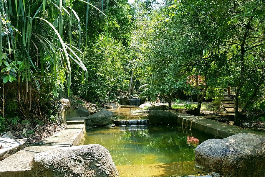 Penang National Park (Taman Negara Pulau Pinang) image