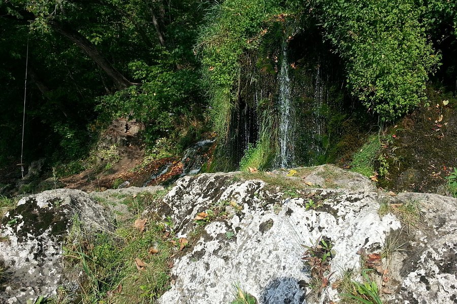 Malanaphy Springs image
