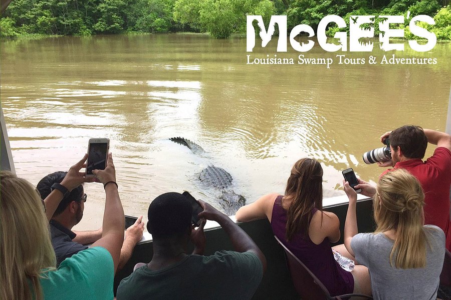 McGee's Louisiana Swamp & Airboat Tours image