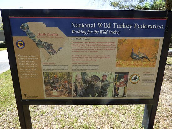National Wild Turkey Federation Wild Turkey Center image