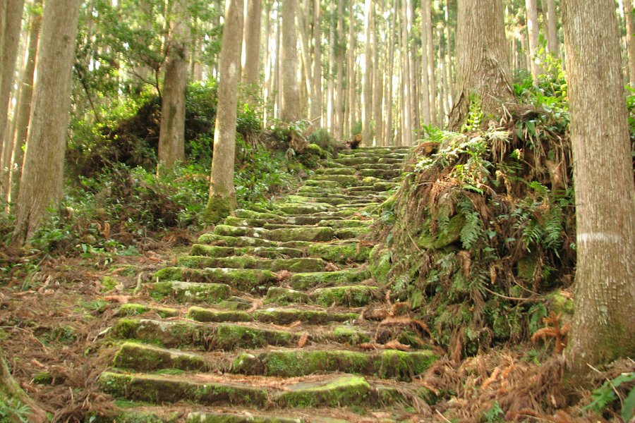 Kumano Kodo Pilgrimage Routes image