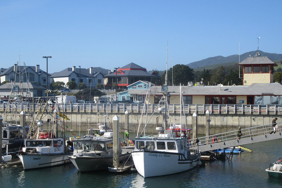 Pillar Point Harbor image