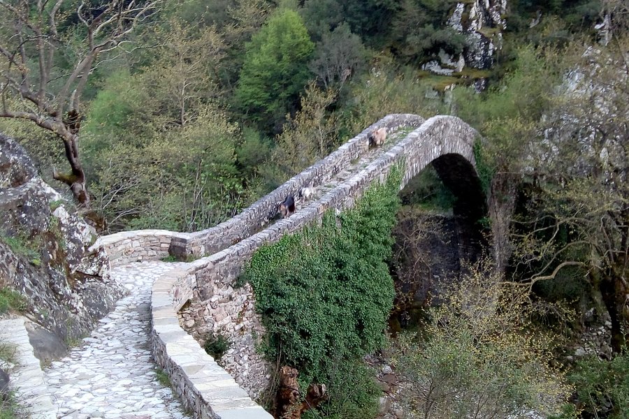 Stone Bridge of Agrafa image
