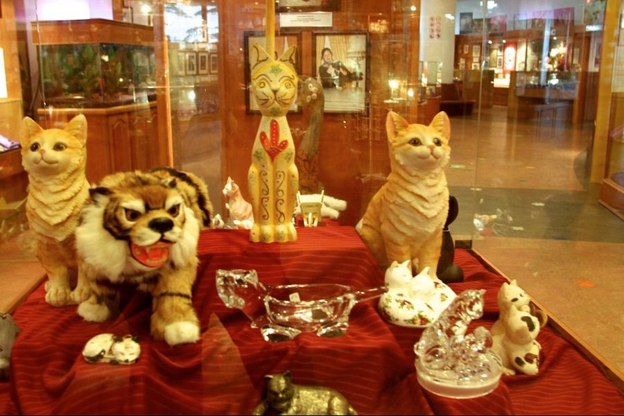 Cat Museum image