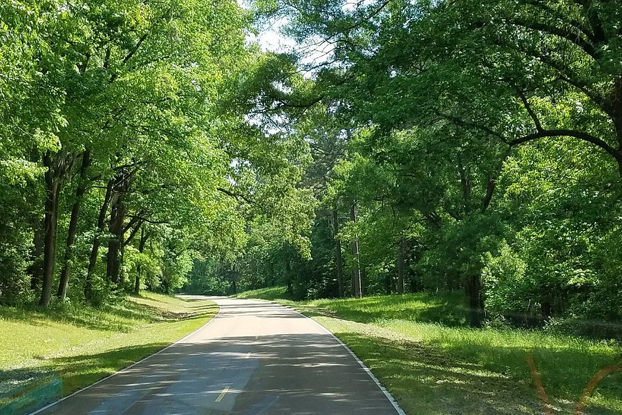 The Natchez Trace Parkway image