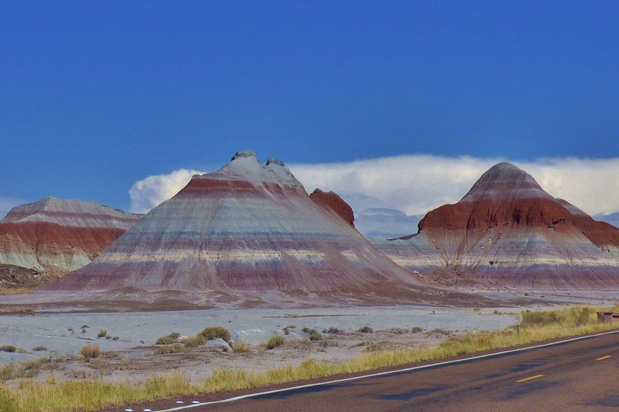 Petrified Forest National Park image