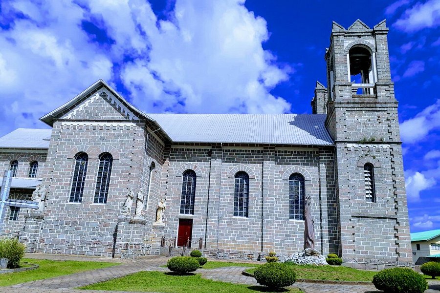 Matriz de Sao Joaquim Church image